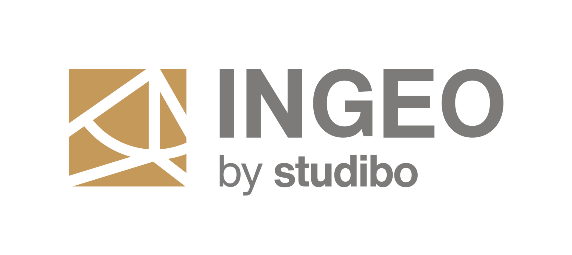 Ingeo group